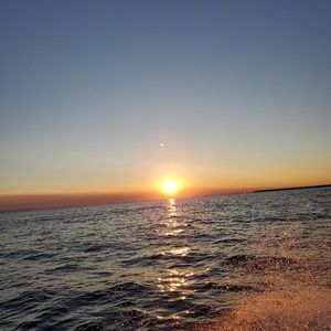 Meet your Posher, Corinne